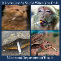 It Looks Just As Stupid When You Do It Poster