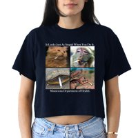 It Looks Just As Stupid When You Do It Crop Top