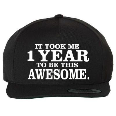 It Took One Year To Be This Awesome Wool Snapback Cap