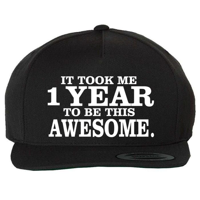It Took One Year To Be This Awesome Wool Snapback Cap