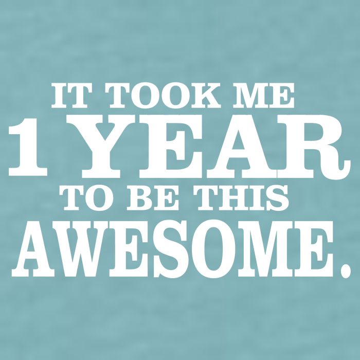 It Took One Year To Be This Awesome Sueded Cloud Jersey T-Shirt