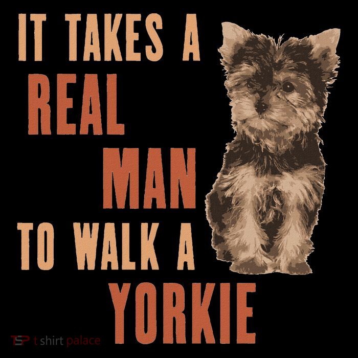 It Takes A Real Man To Walk A Yorkie Funny Dog Lover Magnet