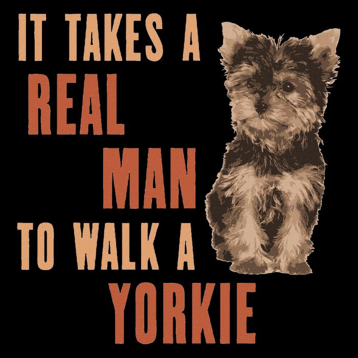 It Takes A Real Man To Walk A Yorkie Funny Dog Lover Sustainable Knit Beanie