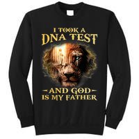 I Took A Dna Test And God Is My Father Lion Jesus Sweatshirt
