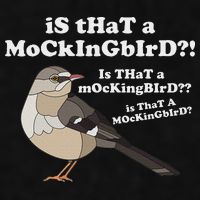 Is That A Mockingbird Funny Mockingbird Meme Ladies PosiCharge Tri-Blend Wicking Tank
