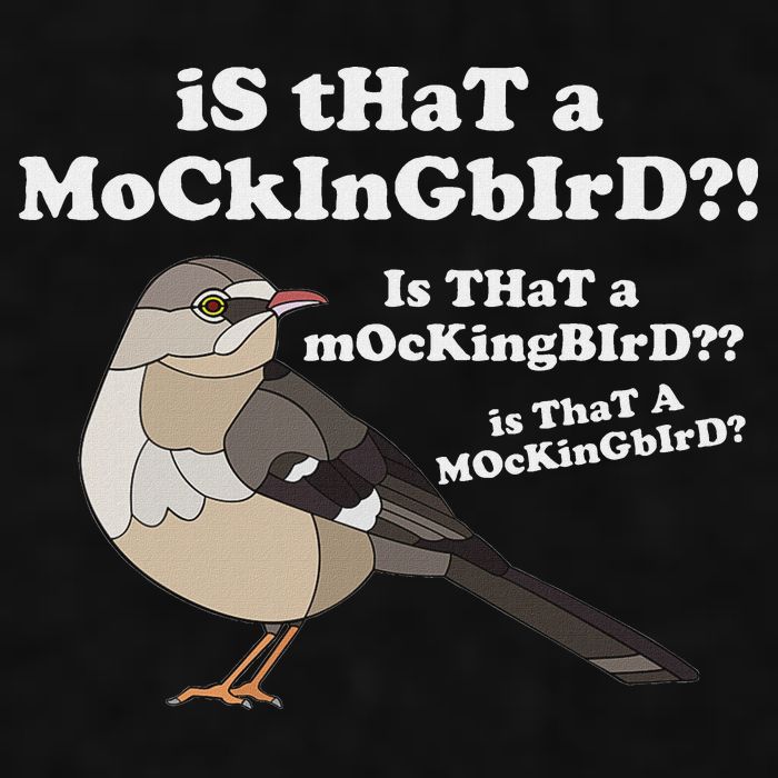Is That A Mockingbird Funny Mockingbird Meme Ladies PosiCharge Tri-Blend Wicking Tank