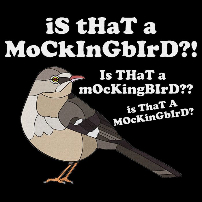 Is That A Mockingbird Funny Mockingbird Meme Women's Crop Top Tee