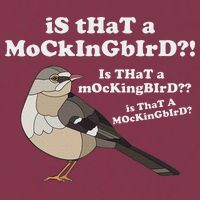Is That A Mockingbird Funny Mockingbird Meme 16oz Travel Tumbler