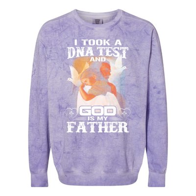 I Took A Dna Test And God Is My Father Colorblast Crewneck Sweatshirt