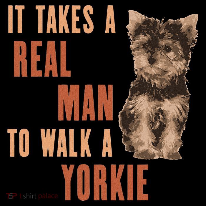 It Takes A REAL MAN To Walk A Yorkie Funny Dog Lover Mug