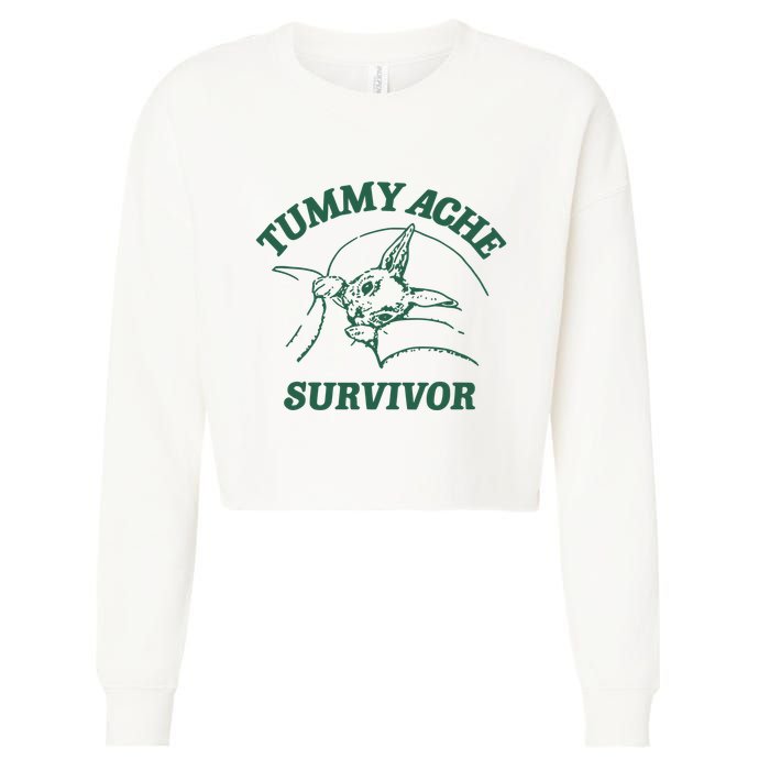 Ibs Tummy Ache Survivor Rabbit Coomstress Cropped Pullover Crew