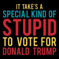 It Takes A Special Kind Of Stupid To Vote For Donald Trump T-Shirt
