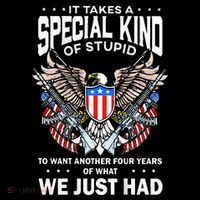 It Takes A Special Kind Of Stupid To Want Another Toddler T-Shirt