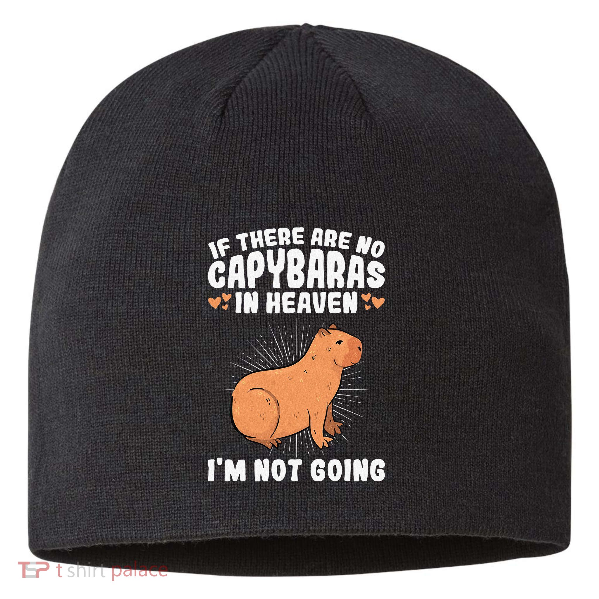 if there are no capybaras capybara  Rodent Lover  Sustainable Beanie