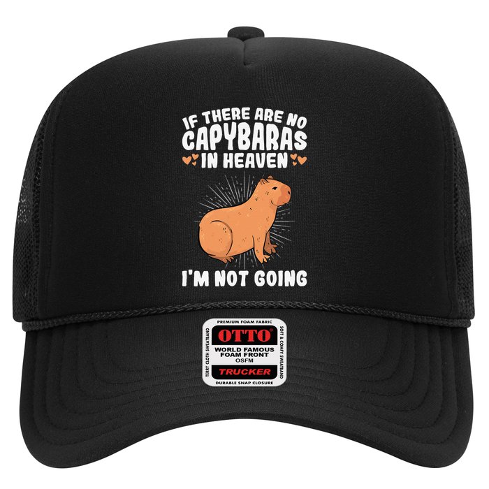 if there are no capybaras capybara  Rodent Lover  Hat