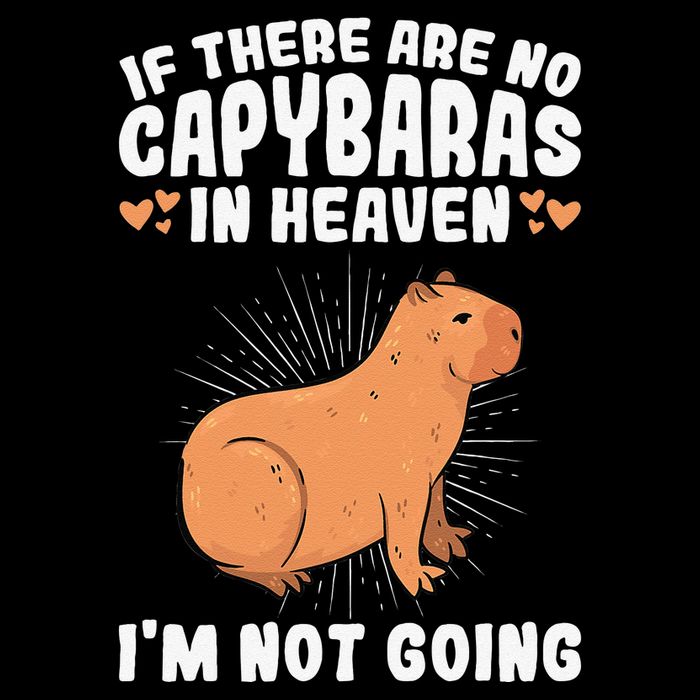 if there are no capybaras capybara  Rodent Lover  Visor