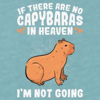 if there are no capybaras capybara  Rodent Lover  Sueded Cloud Jersey T-Shirt