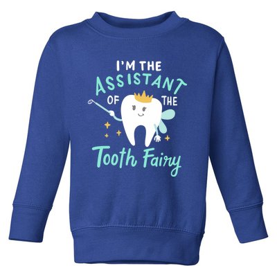 Im The Assistant Of The Tooth Fairy Gift Toddler Sweatshirt