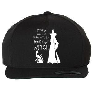 I Took A Dna Test Im 100% That Witch Funny Halloween Gift Wool Snapback Cap