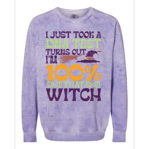 I Took A Dna Test Turns Out Im 100% Percent Witch Halloween Gift Colorblast Crewneck Sweatshirt