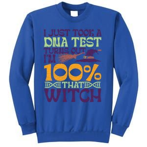 I Took A Dna Test Turns Out Im 100% Percent Witch Halloween Gift Sweatshirt