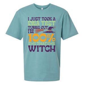 I Took A Dna Test Turns Out Im 100% Percent Witch Halloween Gift Sueded Cloud Jersey T-Shirt