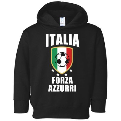 Italia Soccer Forza Azzurri Toddler Hoodie