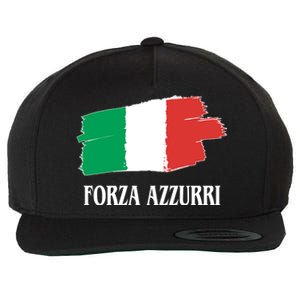 Italy Soccer Azzurro Forza Italia Team Flag Wool Snapback Cap