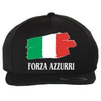 Italy Soccer Azzurro Forza Italia Team Flag Wool Snapback Cap