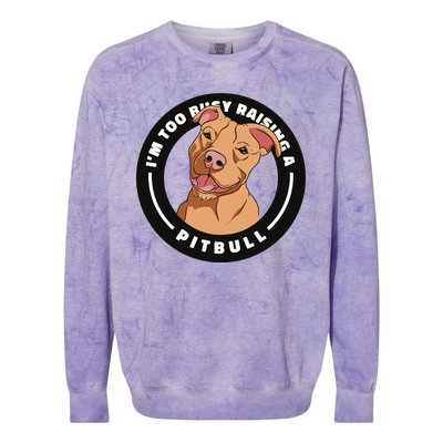 I'm Too Busy Raising A Pitbull Colorblast Crewneck Sweatshirt