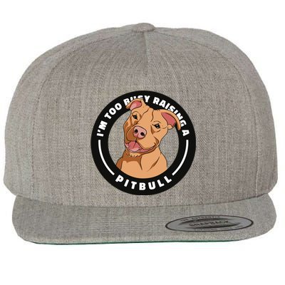 I'm Too Busy Raising A Pitbull Wool Snapback Cap