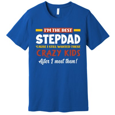 Im The Best Stepdad Father In Law Funny Stepgiftfather Gift Premium T-Shirt