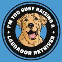 I'm Too Busy Raising A Labrador Retriever Tie Dye Hoodie