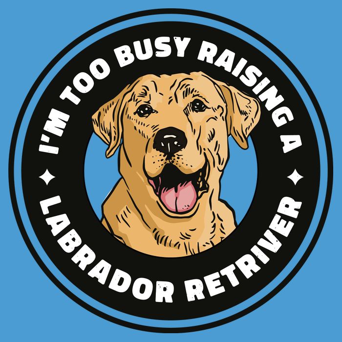 I'm Too Busy Raising A Labrador Retriever Tie Dye Hoodie
