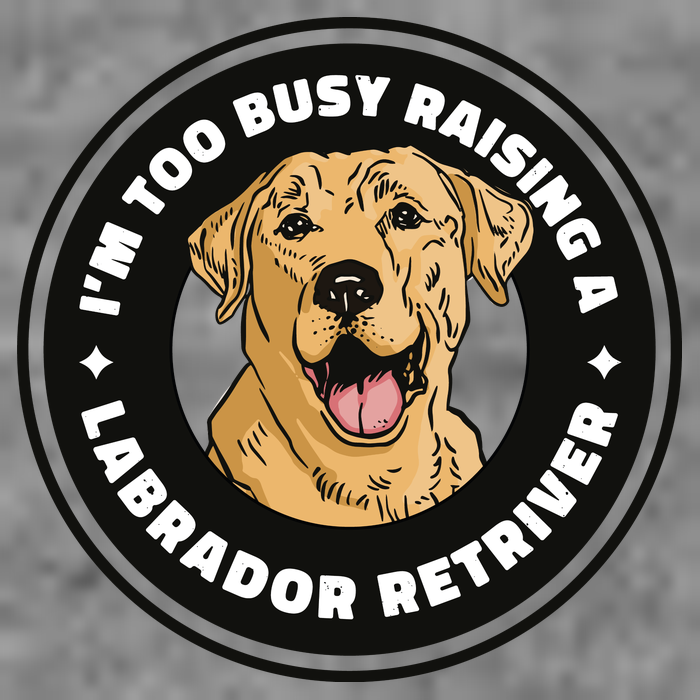 I'm Too Busy Raising A Labrador Retriever Toddler Sweatshirt