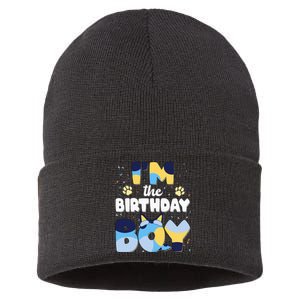 Im The Birthday Boy Dog Family Matching Sustainable Knit Beanie