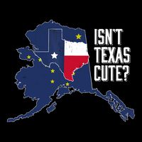 Isnt Texas Cute Alaska Home AK State Design Stripe Pom Pom Beanie