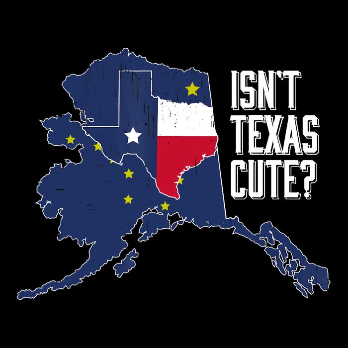 Isnt Texas Cute Alaska Home AK State Design Stripe Pom Pom Beanie