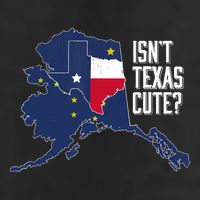 Isnt Texas Cute Alaska Home AK State Design Garment-Dyed Fleece Hoodie
