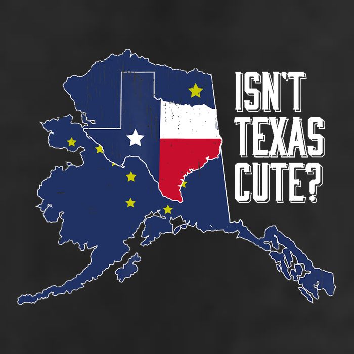 Isnt Texas Cute Alaska Home AK State Design Garment-Dyed Fleece Hoodie