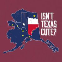 Isnt Texas Cute Alaska Home AK State Design 16oz Travel Tumbler