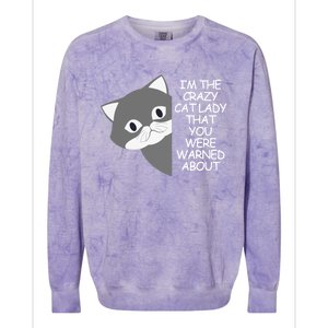 IM The Crazy Cat Lady That You Were Warned About Kamala 47 Cool Gift Colorblast Crewneck Sweatshirt