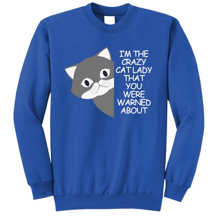 IM The Crazy Cat Lady That You Were Warned About Kamala 47 Cool Gift Sweatshirt