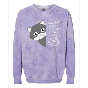 IM The Crazy Cat Lady That You Were Warned About Kamala 47 Gift Colorblast Crewneck Sweatshirt