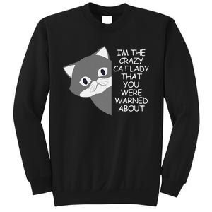 IM The Crazy Cat Lady That You Were Warned About Kamala 47 Gift Sweatshirt