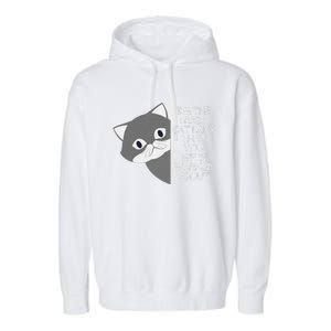 IM The Crazy Cat Lady That You Were Warned About Kamala 47 Gift Garment-Dyed Fleece Hoodie