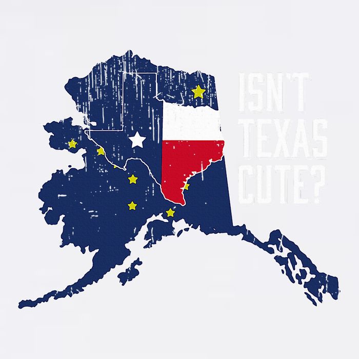 Isnt Texas Cute Alaska Home Ak State Design Youth Performance Sprint T-Shirt