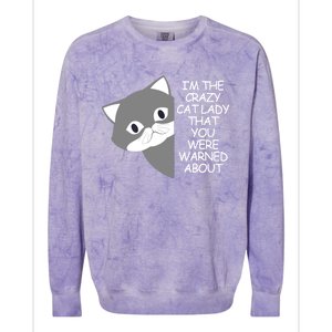 IM The Crazy Cat Lady That You Were Warned About Kamala 47 Colorblast Crewneck Sweatshirt