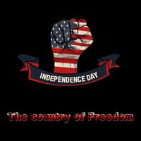 Independence The Country Of Freedom Design By Ronroyal#4 Gift Wool Snapback Cap