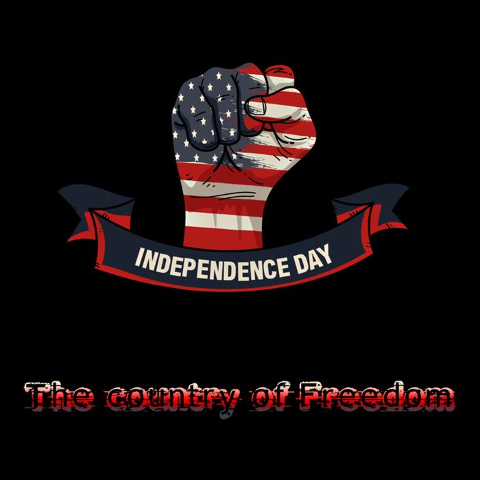 Independence The Country Of Freedom Design By Ronroyal#4 Gift Wool Snapback Cap